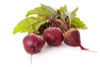 turnips on a white background